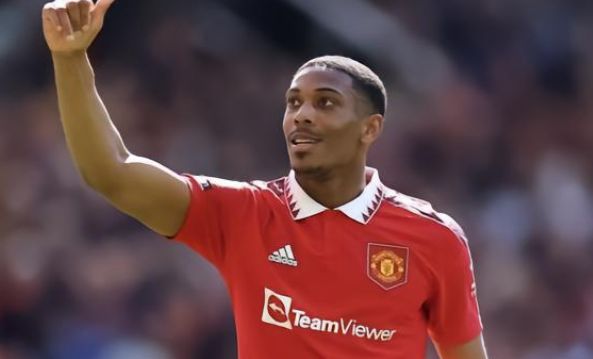 这一提名不 这一提名不